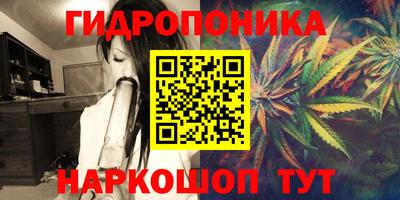 мдпв Татарск