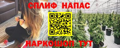 мдпв Татарск