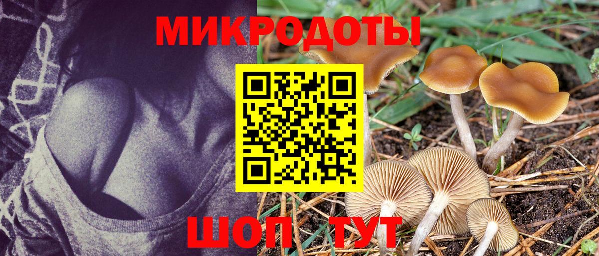 Псилоцибиновые грибы прущие грибы Норильск